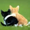 Friends Out Of Thin Air